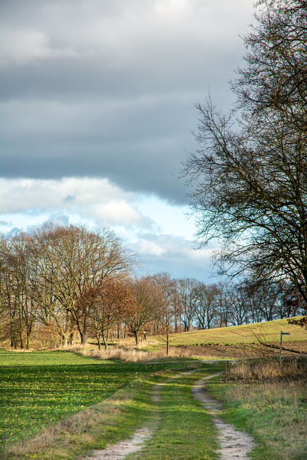 Titelbild Ausstellung ›Wege‹